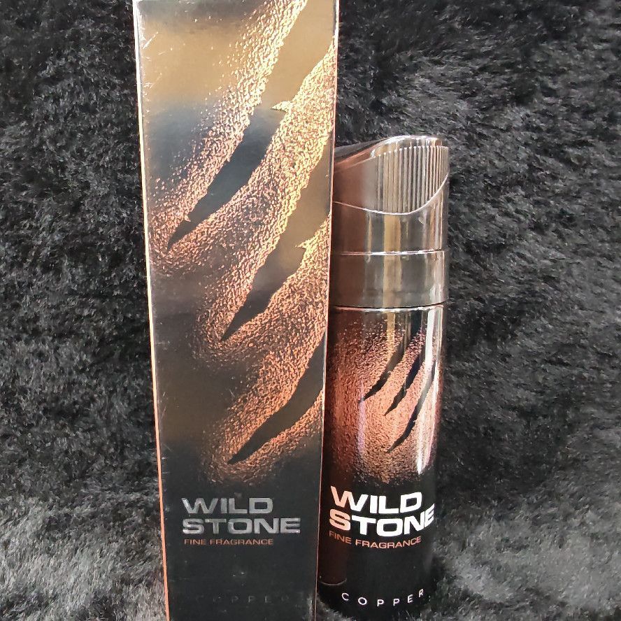 Wild Stone Fine Fragrance Copper Men Mist & Body Spray 120ml
