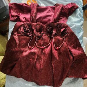 Baby Party Dress with Floral Appliqué for Babies